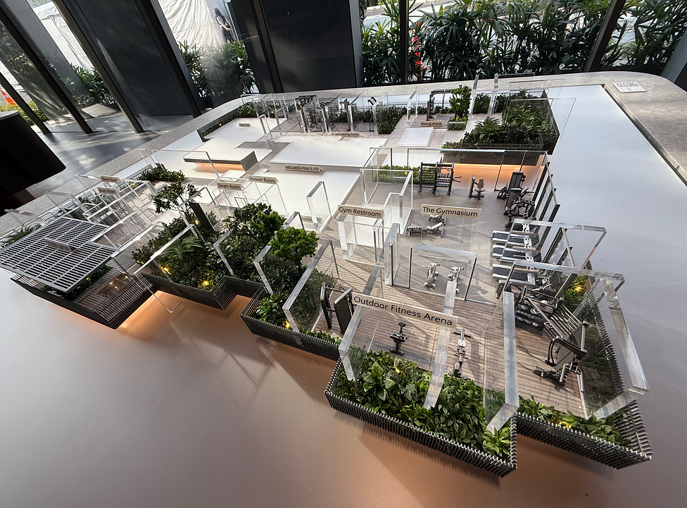Promenade Peak Wellness Level Gym