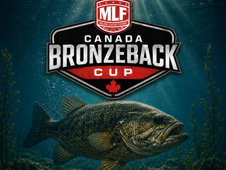 BRONZEBACK