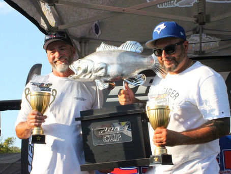 PRO J CUP