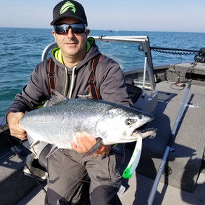 FREEDOM TACKLE MEDIA CONTEST
