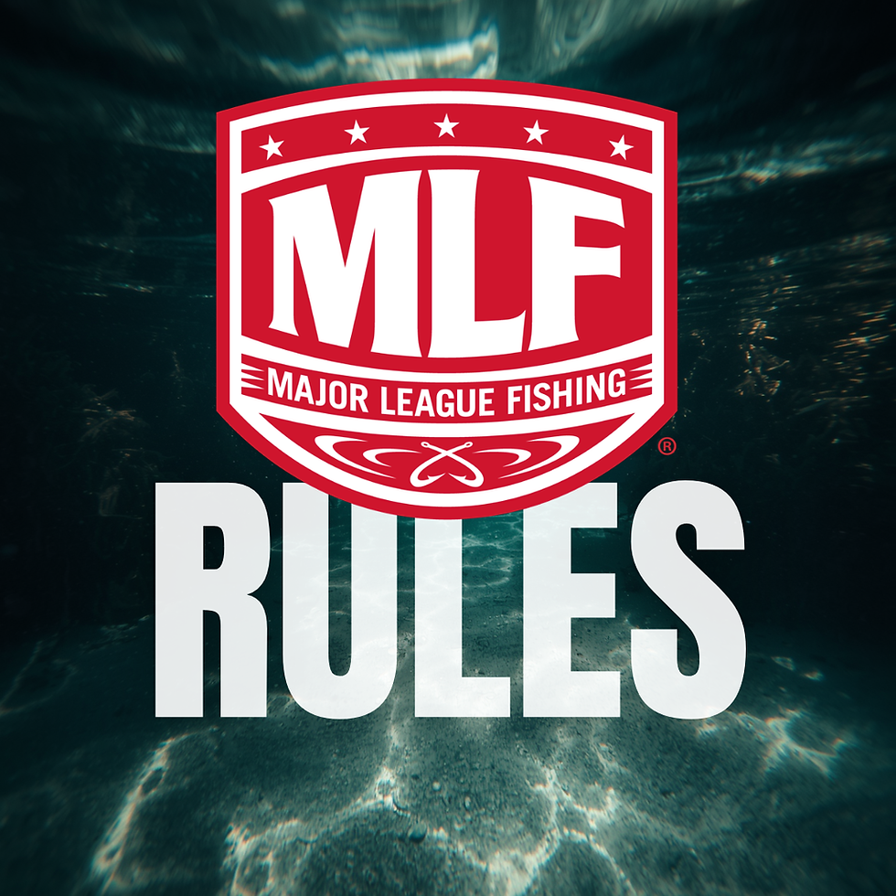MLF