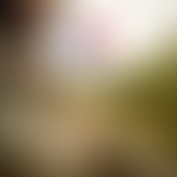 WEST: Balsam (9)