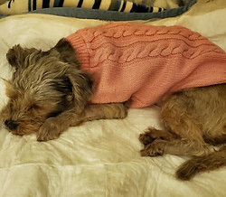 Zoey Pink Sweater.jpg