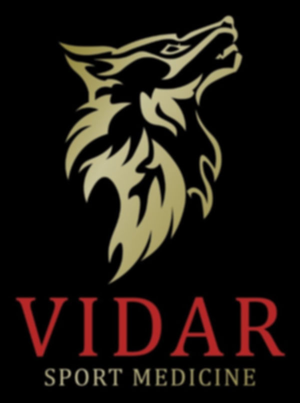 VIDAR-Gold-on-Black-Small_edited_edited_edited_edited.jpg