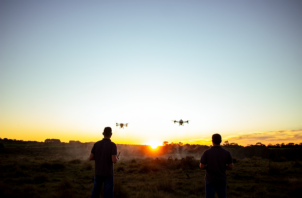 Drone DJI T25 e drone T70P pulverizando simultaneamente com a estrutura da Drop Pulverizações com Drone