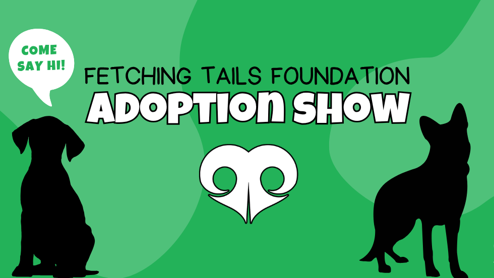 PetSmart Dog Adoption Event