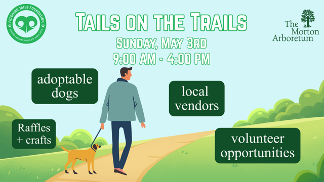Tails on Trails