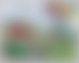 #1. Instalación artística: La línea blanca