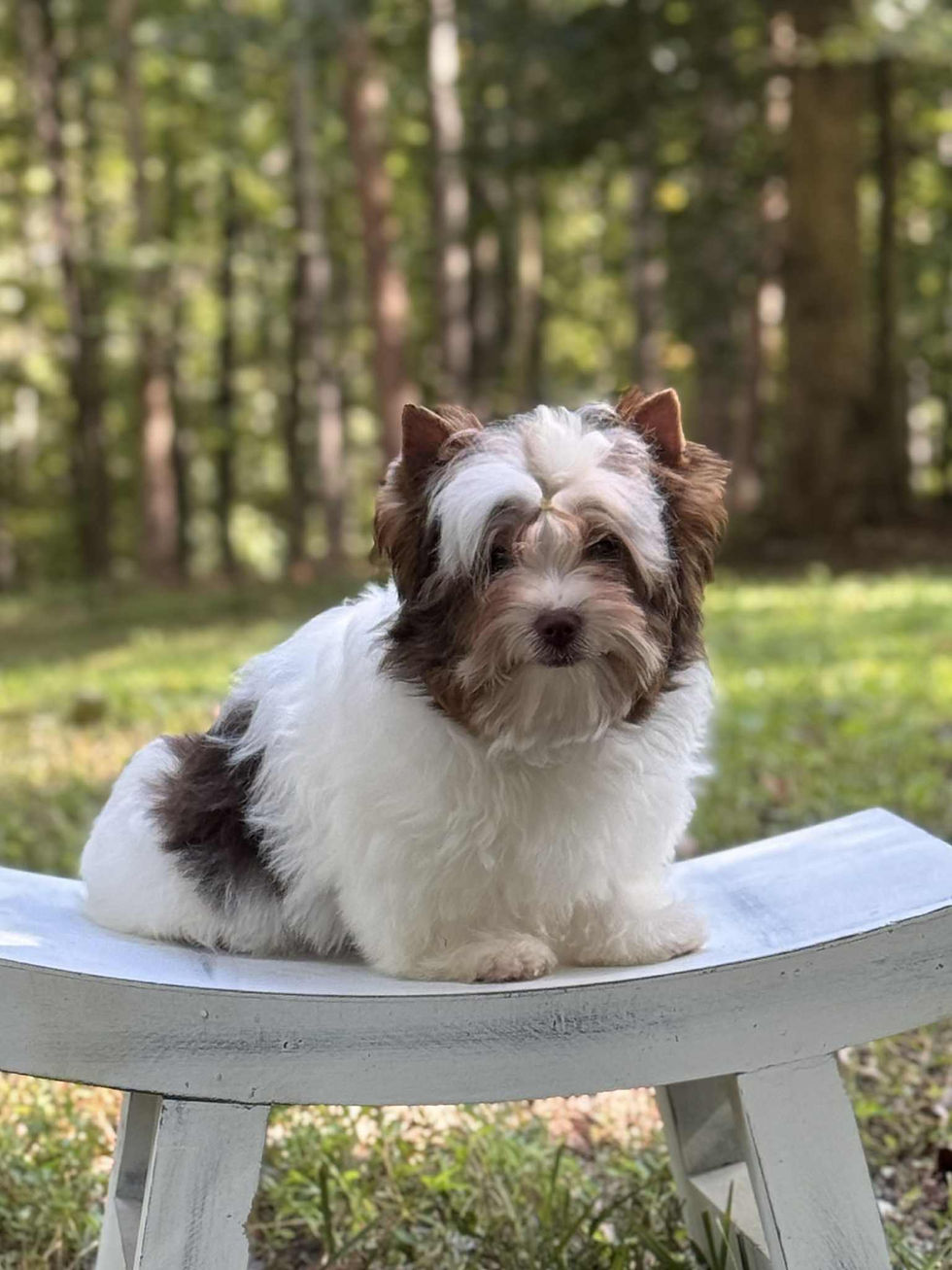 dd73ea85-cf65-43c3-93a7-5e1eea69cd30