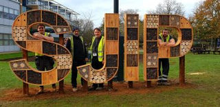People assembling large sectioned wooden insect habitats outdoors