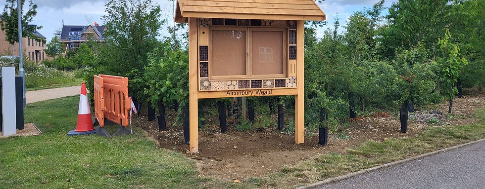 Freestanding custom timber information display board surrounded by green trees