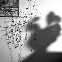 Plantas Domesticas_13