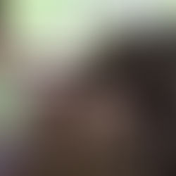 الفيل الرضيع