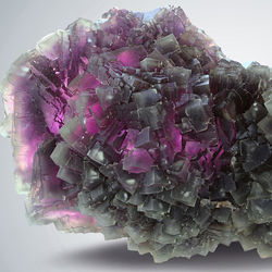 WE 22-5, 12.5 x 7 x 5 cm(8)