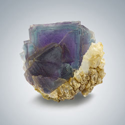 WE 21-3, 5.5 x 5.4 x 3 cm(1)