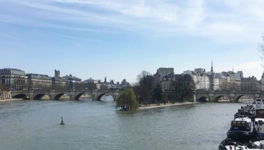 Paris // France