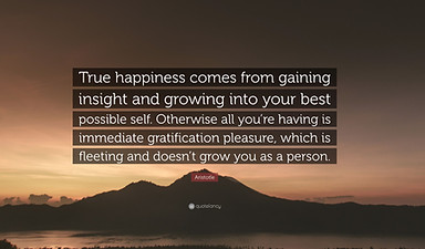 2875583-Aristotle-Quote-True-happiness-comes-from-gaining-insight-and.jpg