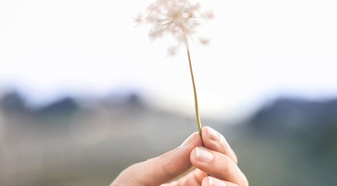 jessica-da-rosa-1318134-unsplash_edited_edited_edited.jpg