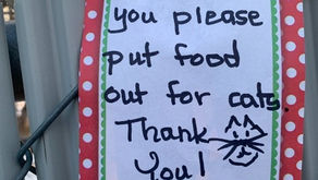 A Community Working Together for Our Cats.