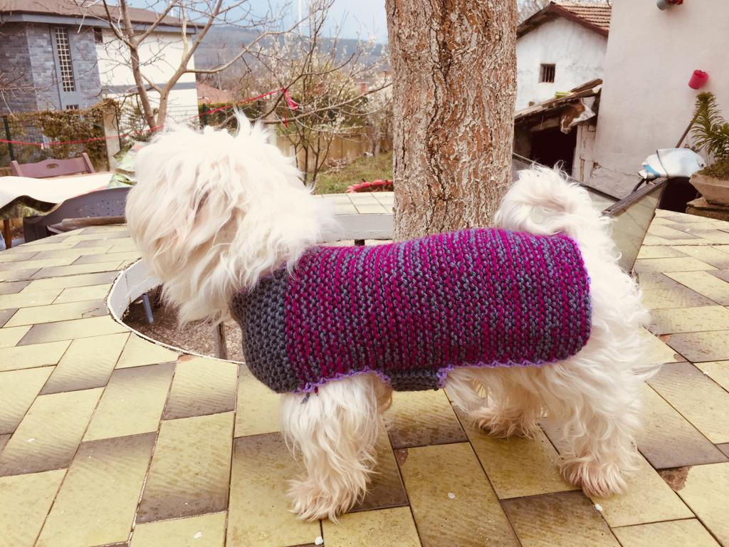 El Örgüsü Köpek Kıyafeti
