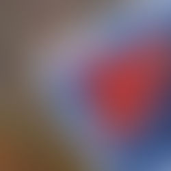 récolte d'automne au jardin