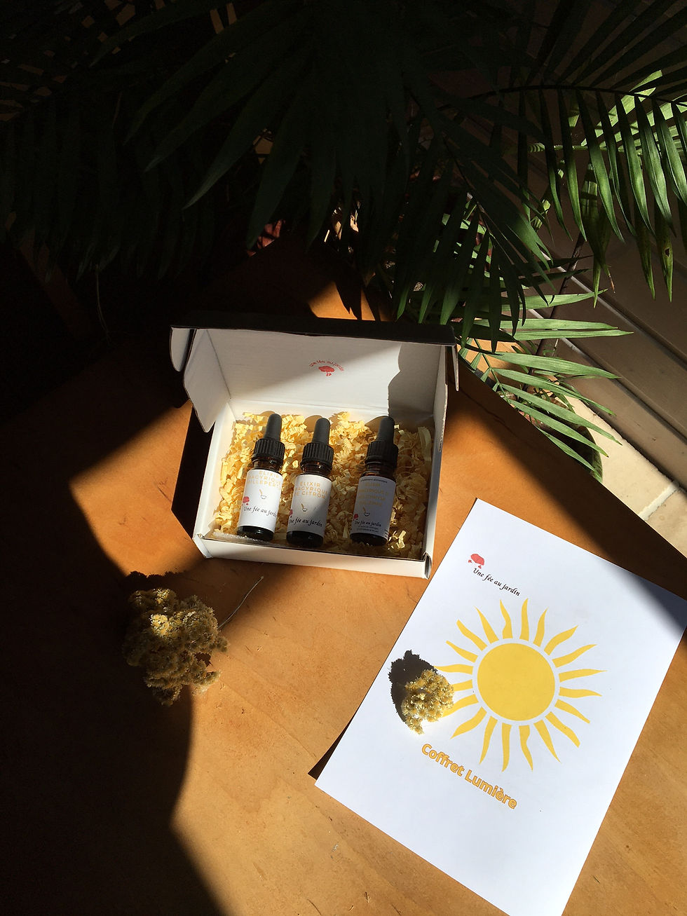 Miniature : coffret Lumière