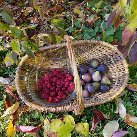 la folie des confitures