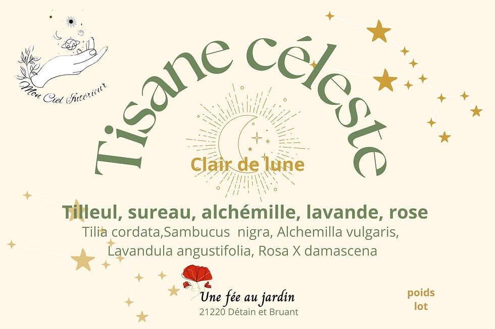 Miniature : Tisane Céleste -Pleine Lune
