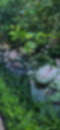 PXL_20240522_133035822_edited.jpg