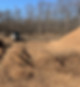 IMG_0570 LAND CLEARING.jpg