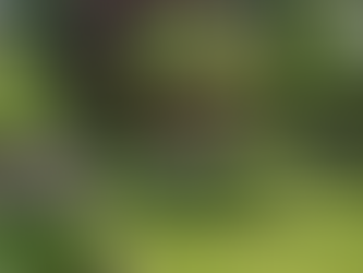 La clarté de l’intention