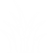 grass.png