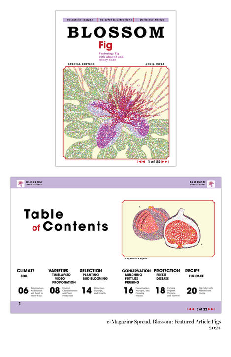 9_e-Magazine, Artwork, Layout, Interactive