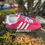 Thumbnail: ADIDAS GAZELLE INDOOR