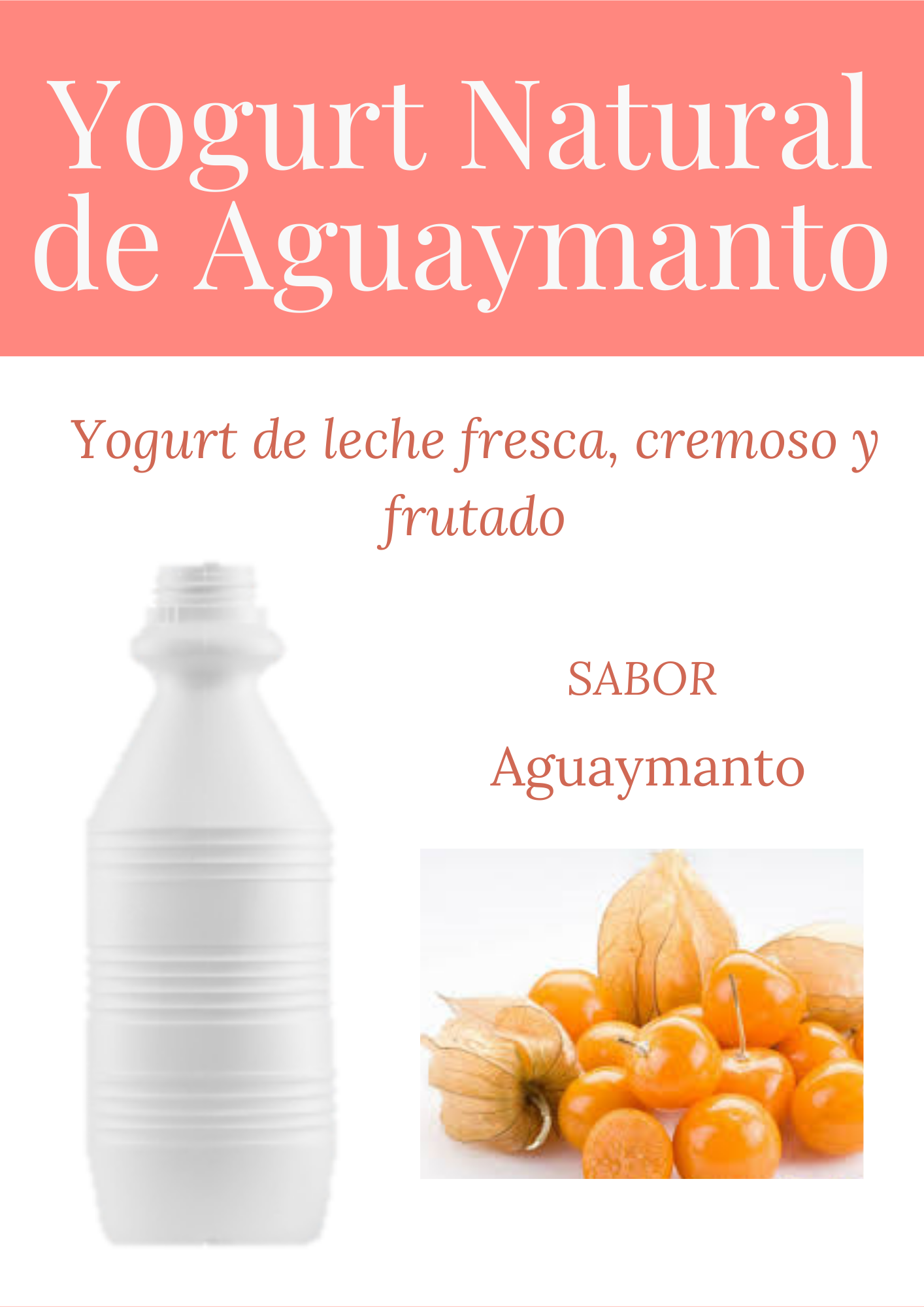 1 unid Yogurt Natural de Aguaymanto