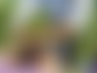 Queen Evalynn, Finley and Georgia Reign at the Windsor Bee Yard