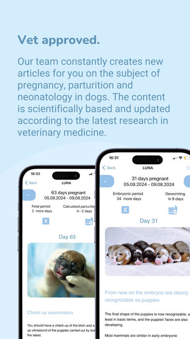 puppy-center Instagram Story Highlight, Romy Design Portfolio