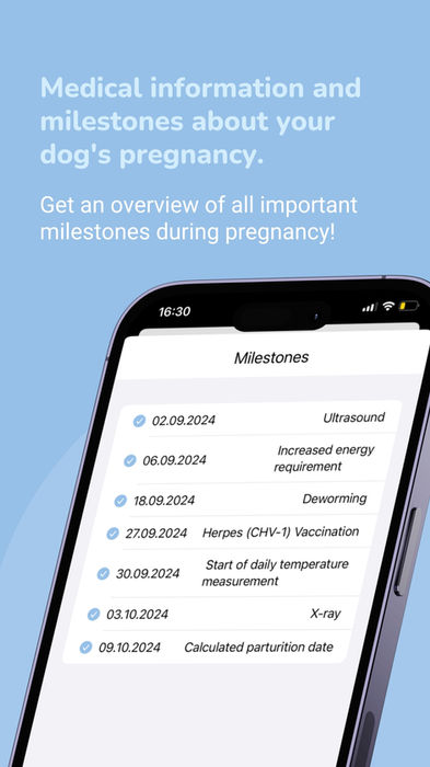 puppy-center Instagram Story Highlight, Romy Design Portfolio