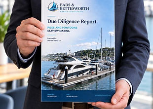 Due Diligence Report.jpg