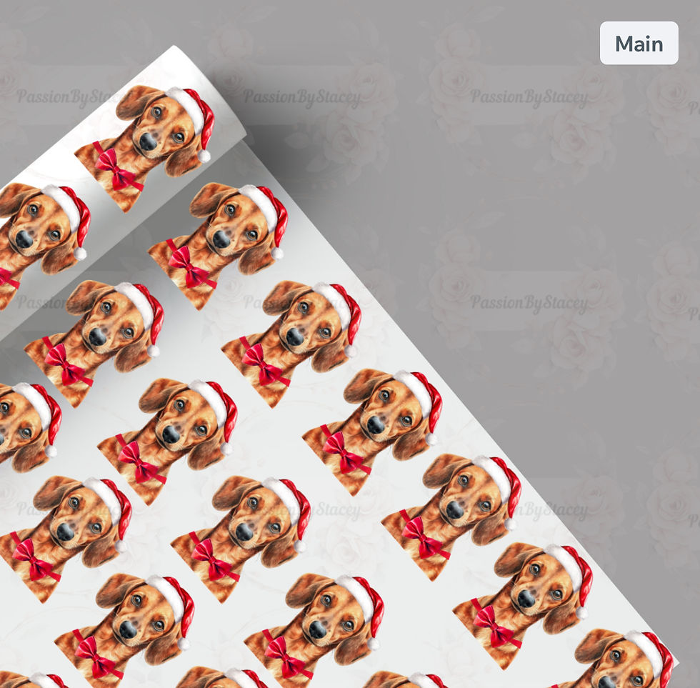 Thumbnail: The Red Dachshund collection 