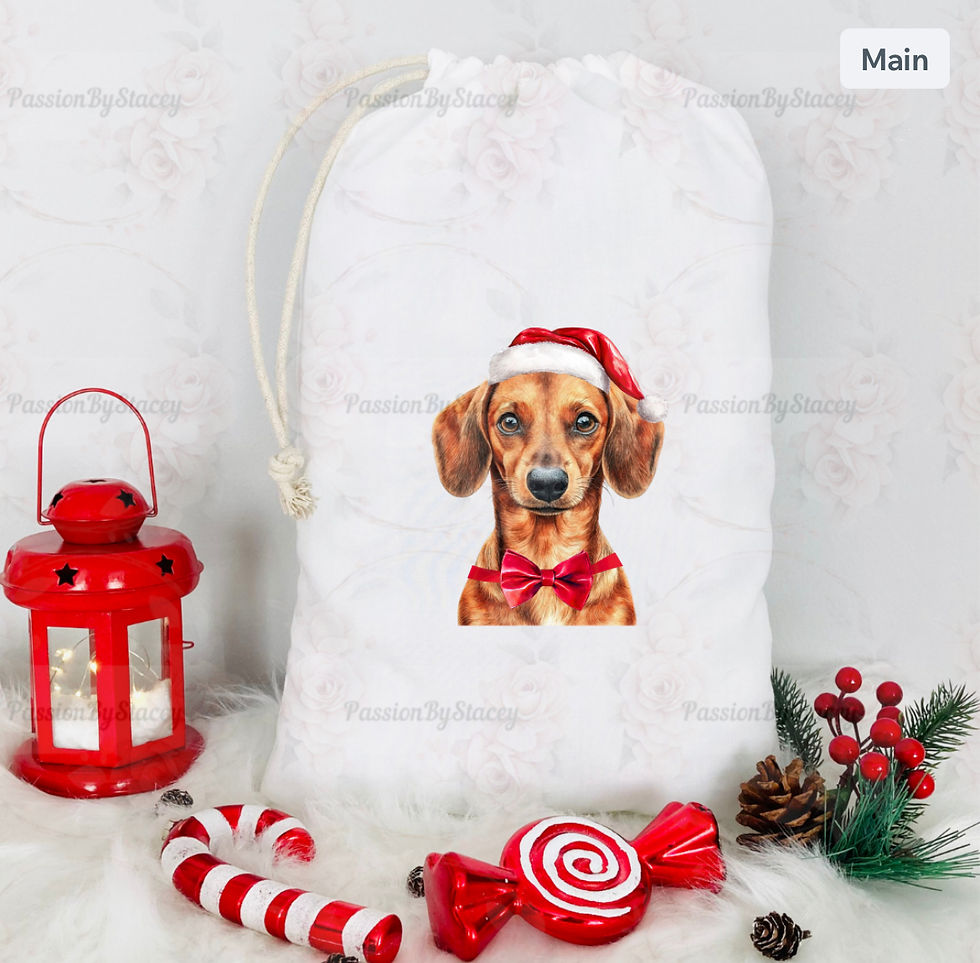 Thumbnail: The Red Dachshund collection 