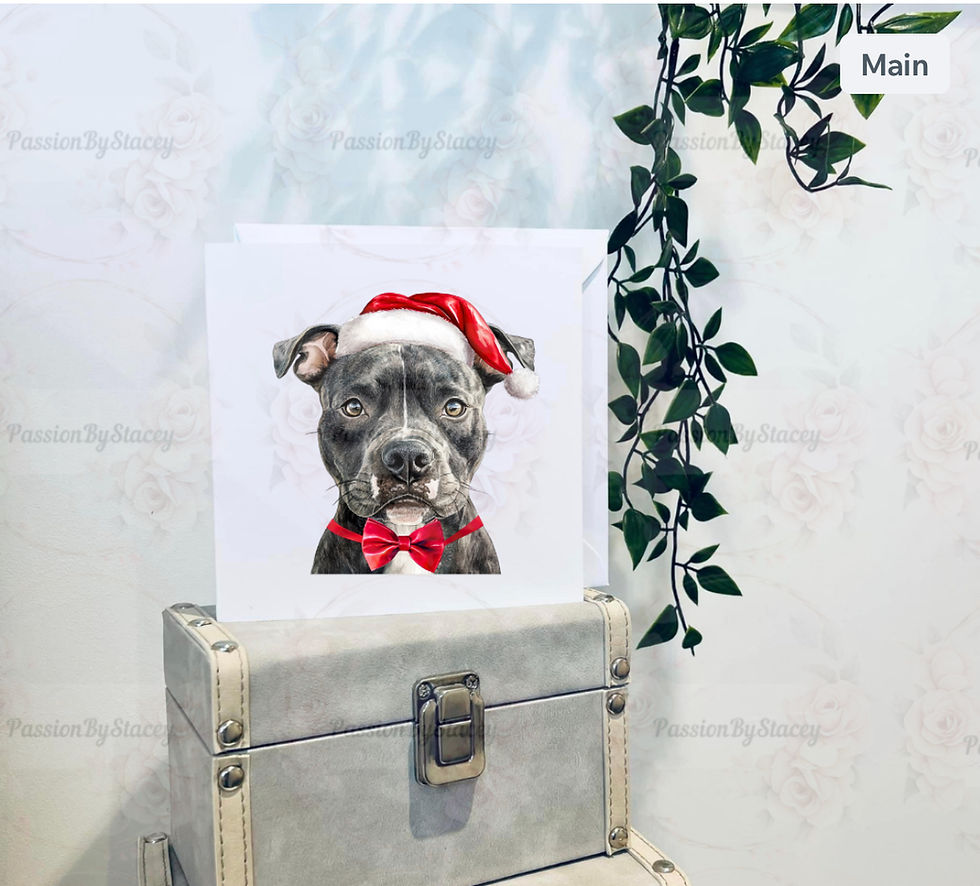 Thumbnail: Staffordshire bull terrier collection