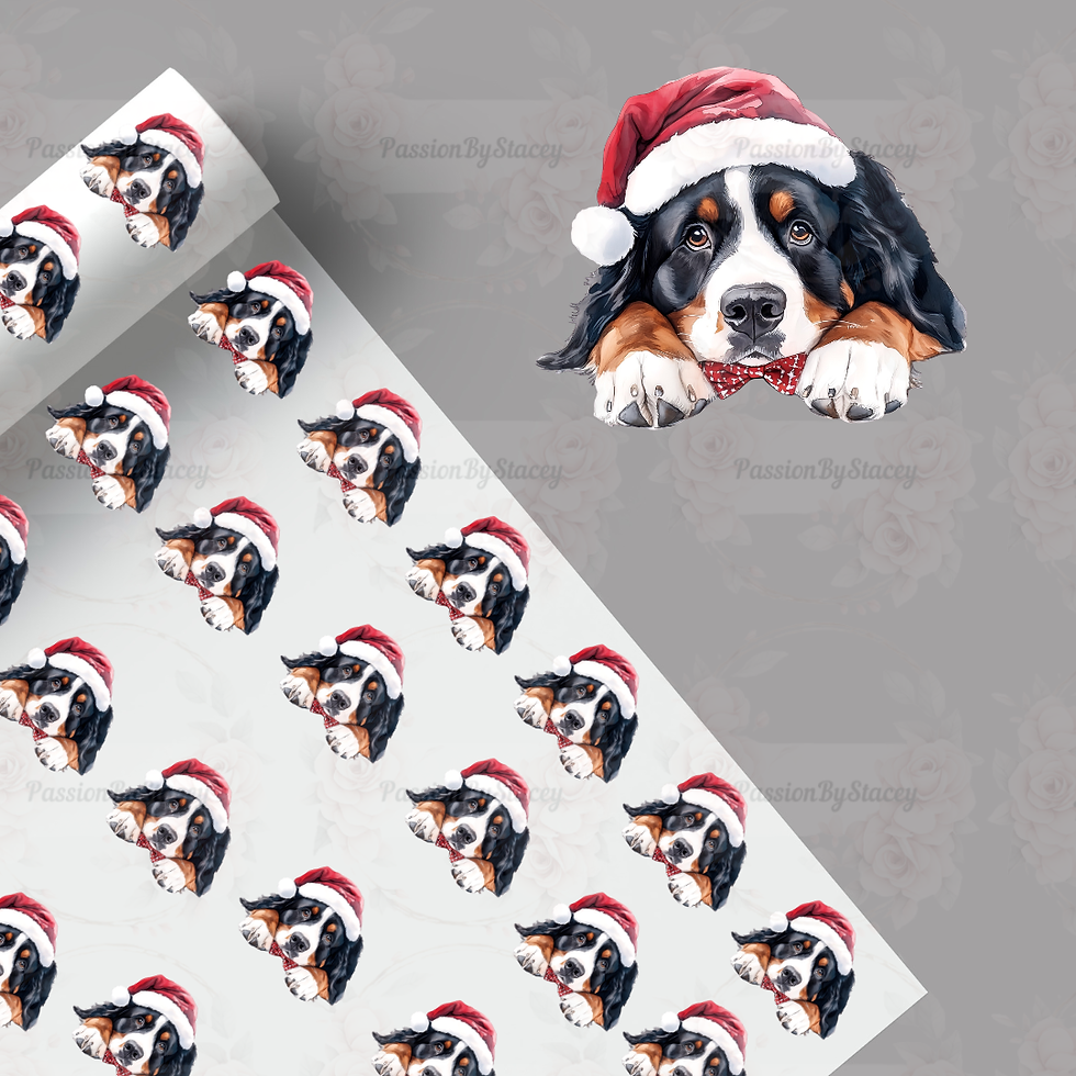 Thumbnail: The Bernese mountain dog collection