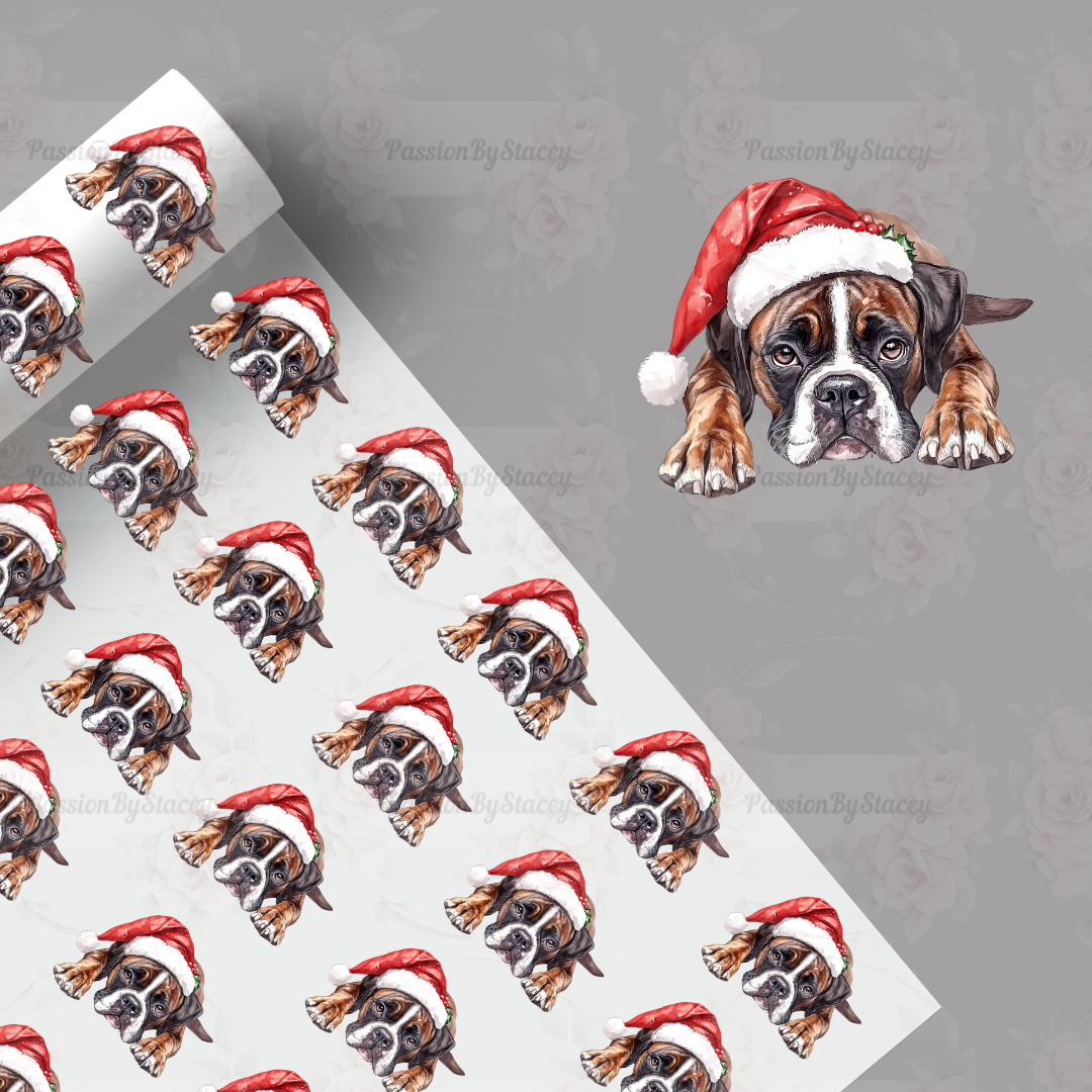 The boxer collection