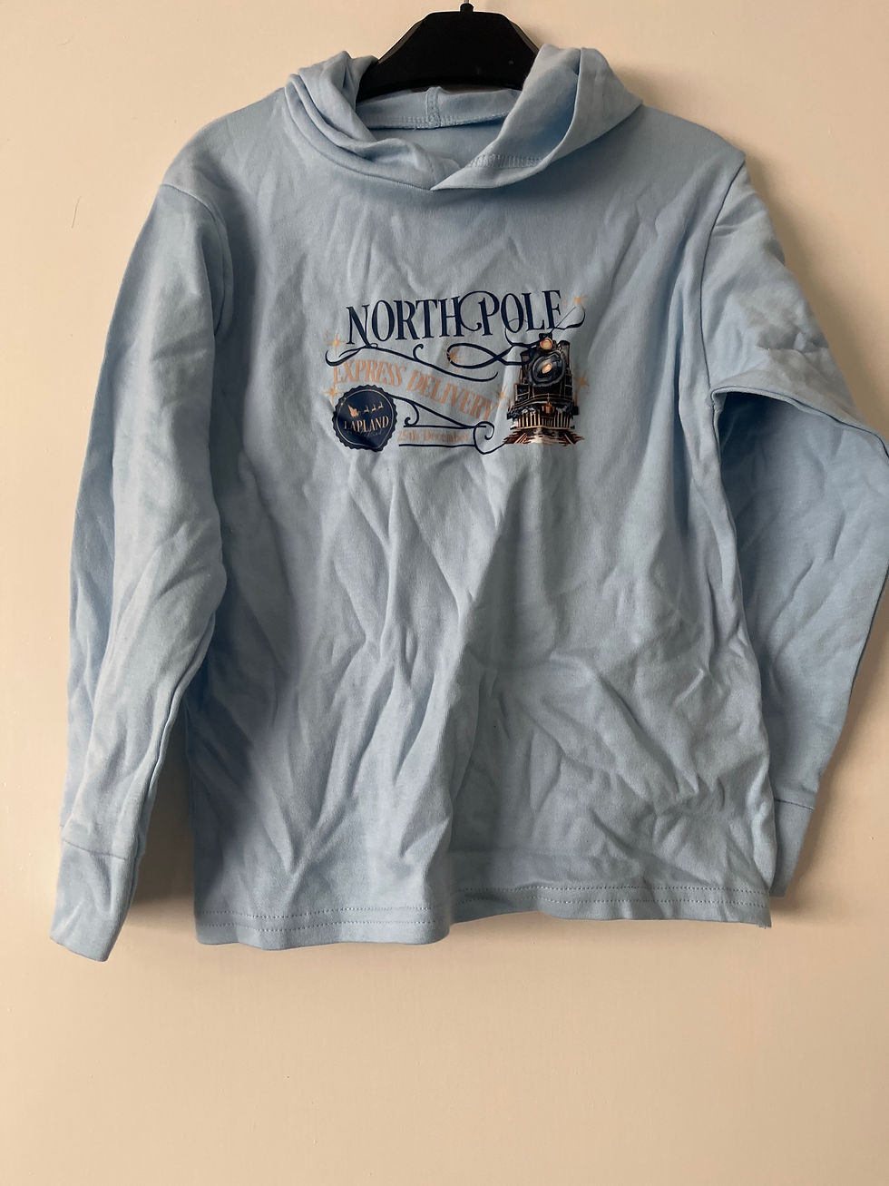 Blue northpole hoodie