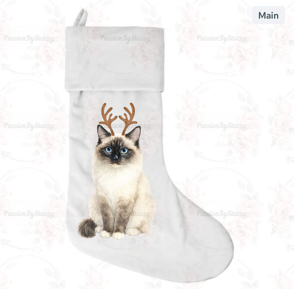 Thumbnail: Rangdoll cat collection 