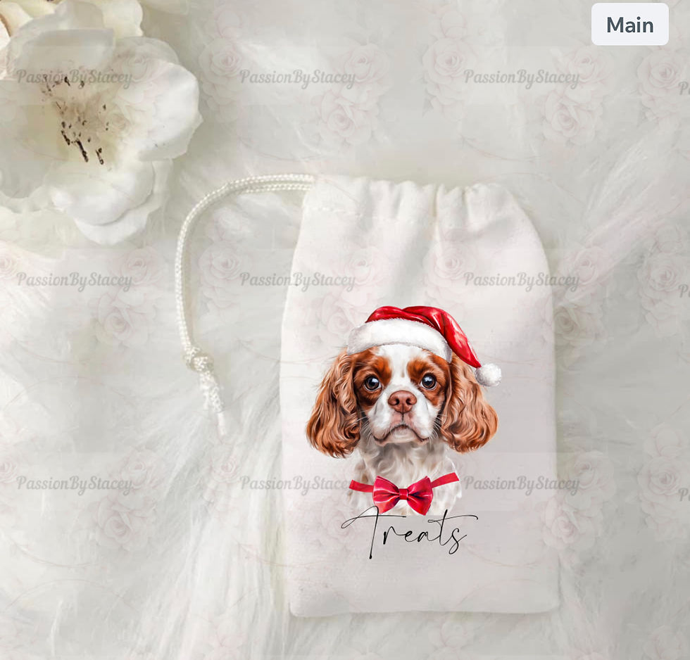 Thumbnail: Cavalier King Charles spaniel collection  