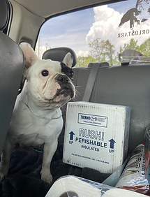 3E540589-5875-4382-8778-B5C0CE339AEF.hei