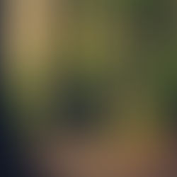 LEARNING TO PAUSE AND PRAISE THE LORD FOR THE WONDERS OF OUR BEING AND HIS MARVELLOUS WORKS.