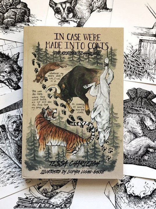 Book 2 promo (front cover).jpg